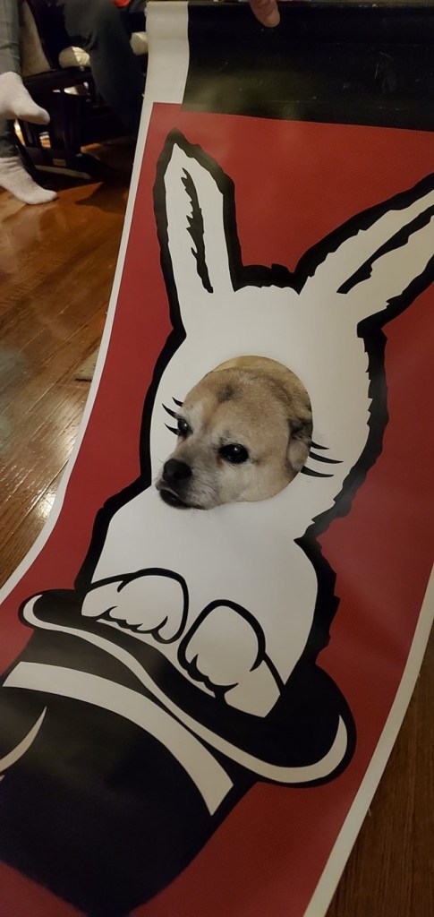 cute dog with face in bunny banner