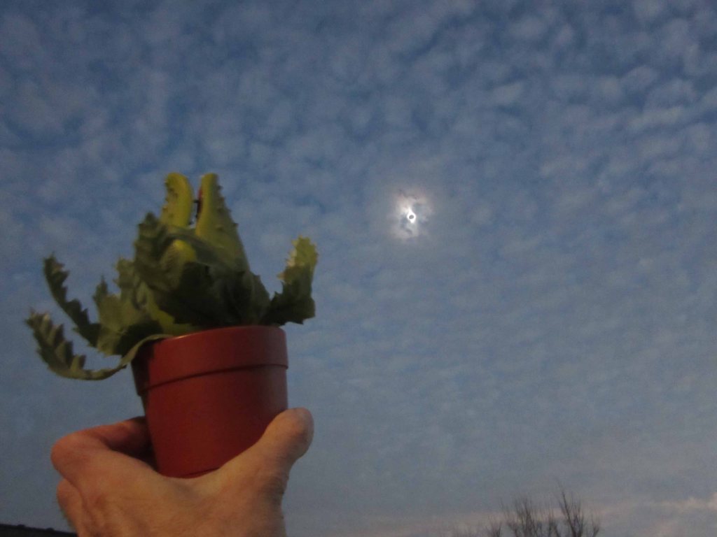 My left hand holding up a toy version of man eating "Audrey 2" plant during totality. Funny joke if you've seen the movie.